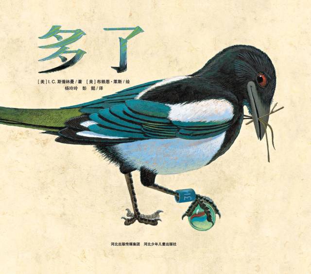 它把人类不要的垃圾当宝贝