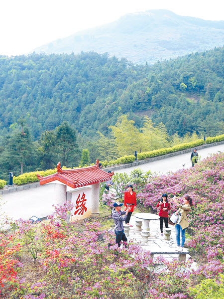 泉州永春北溪文苑旅游风景区游记,永春旅游冬季景点介绍大全