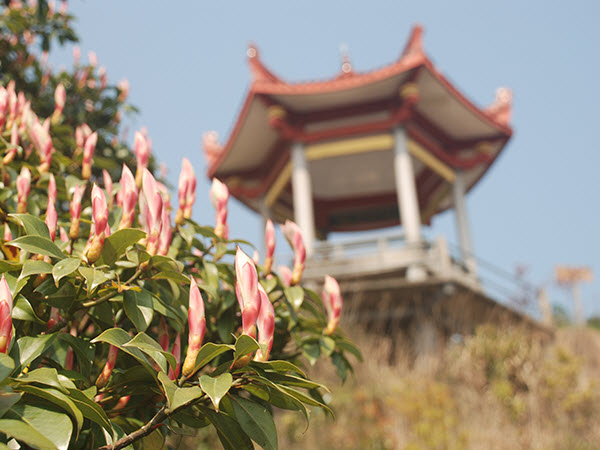 泉州永春北溪文苑旅游风景区游记,永春旅游冬季景点介绍大全