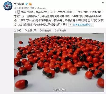 广西野生有毒水果,广西有毒的东西