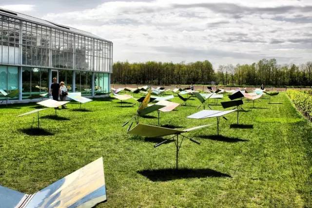 好的景观草坪,天然草坪推荐