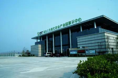 盐城踏青赏花攻略,盐城春暖花开一日游攻略