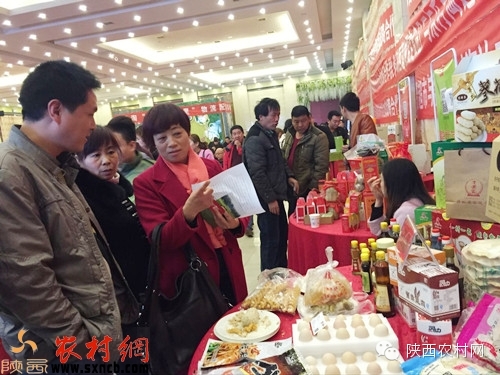 乐村淘互联网超市,乐村淘网络科技