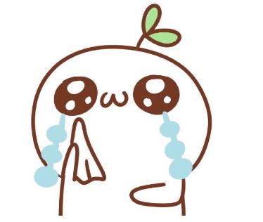 萨内蒂最后一场比赛球迷闯入球场,萨内蒂苏宁