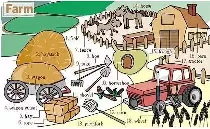 最常用的英语单词汇总表,史上最全英语词汇图