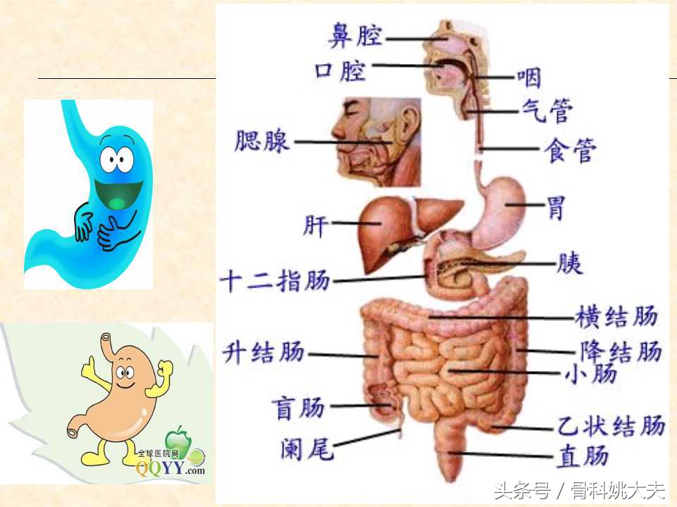 胃痛难忍用什么药,胃痛痛得厉害该怎么处理