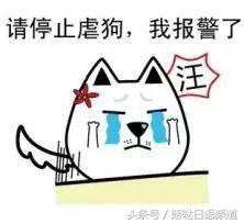 日本对双十一的报道 (日本怎么度过双十一)