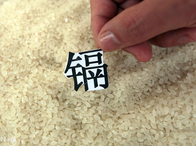 有毒大米重出江湖我们该怎么办,镉大米的危害及措施