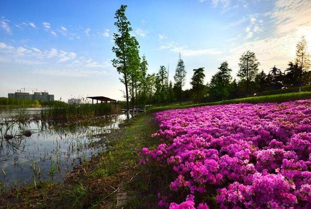 想辞职但是不知道怎么开口,想辞职怎么开口才合适