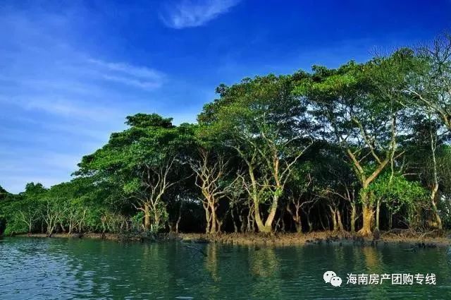 海口是一座美丽的城市,海口比较繁华的地段