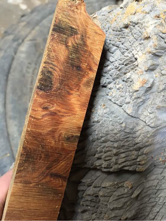 崖柏手串的历史,关于崖柏的那些事