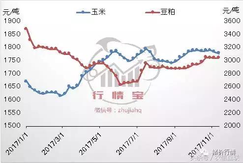 养猪一年能赚多少钱,2019年养猪挣500亿