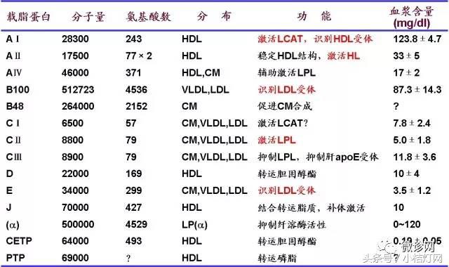 小桔灯网一周精彩回顾（2017.11.12）