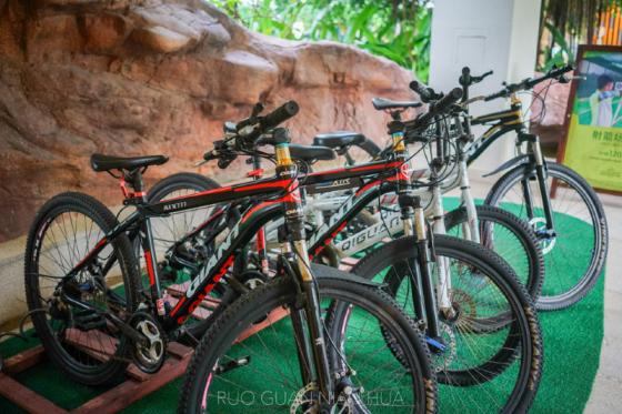 三亚必买10件礼物,三亚免税城购物攻略