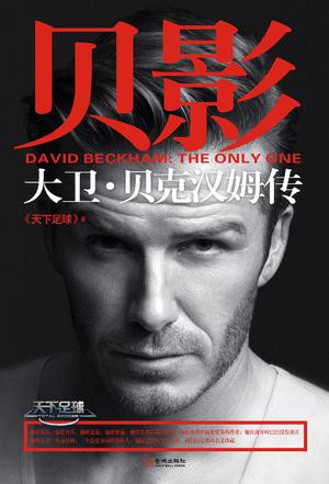 世界杯著名球星排名,世界杯十大足球明星