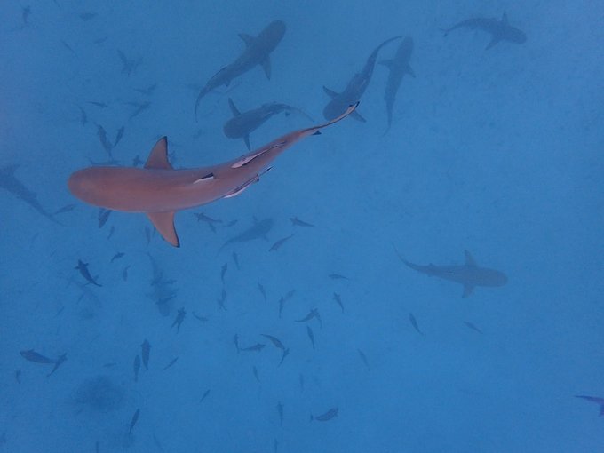 帕劳旅行全攻略,帕劳旅行攻略最佳方案