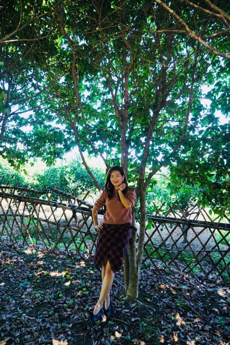 温州的春天有哪些特点,温州春夏秋冬