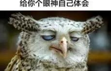 00后适合用lamer吗,00后开始用lamer