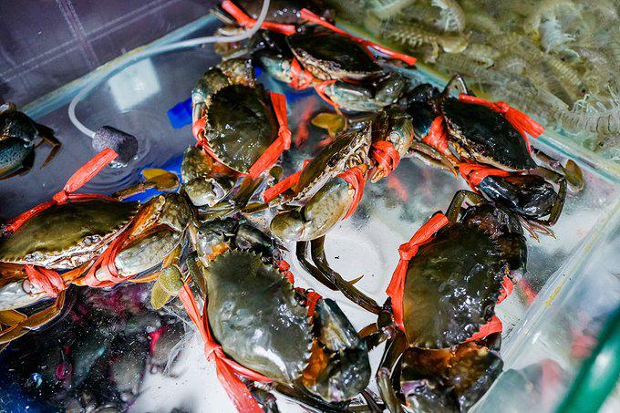 带父母去三亚游玩攻略,爸妈三亚旅游攻略