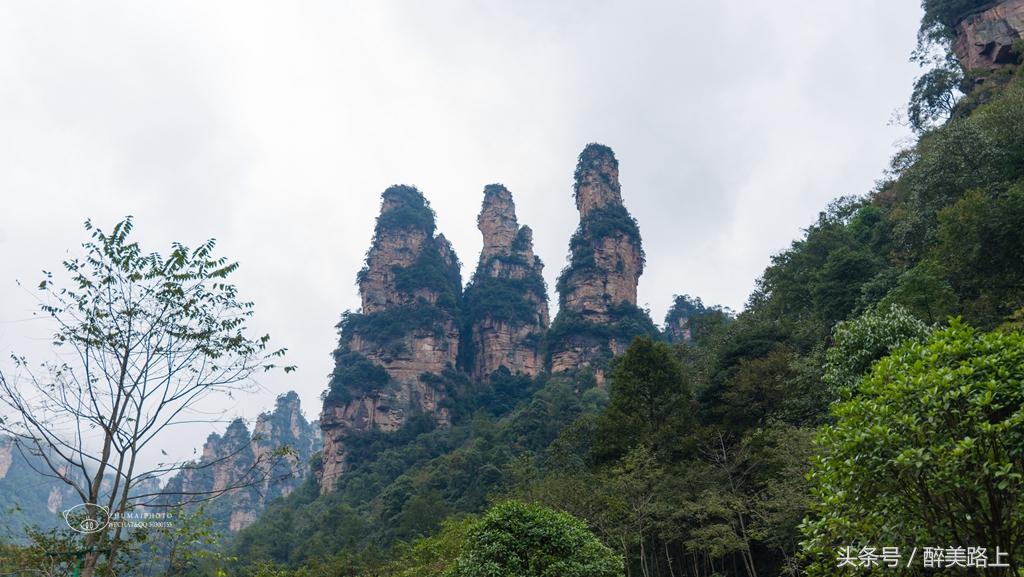 武陵源，秋之颂歌！