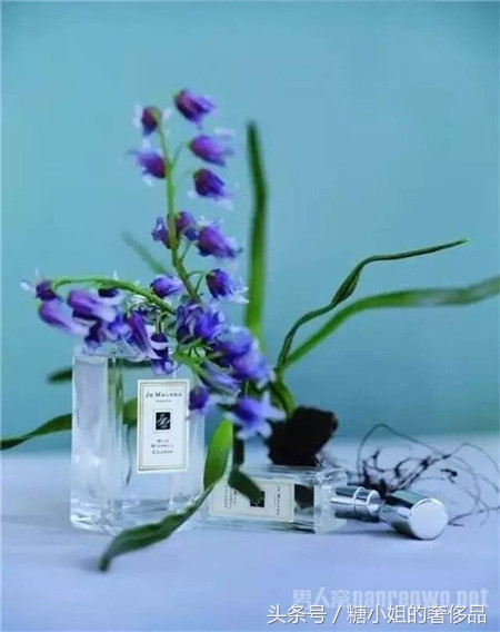 一生只选一款香水,人生第一瓶香水该选什么