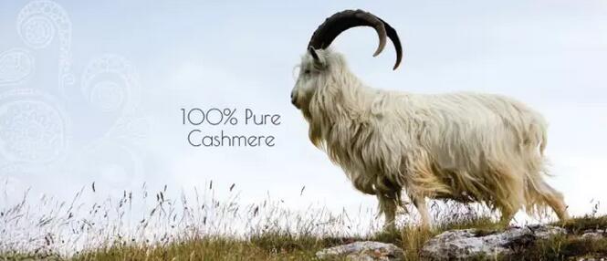 双11买了九百块,双11一千多卖15是真的吗