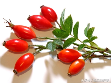 玫瑰果油真的很火吗,玫瑰果油有那么神奇吗