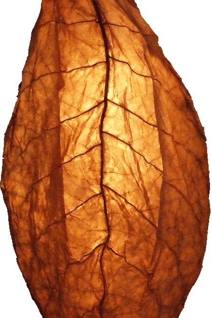 烟醉过后就很难戒烟了吗,吸了几十年烟现在戒烟来得及吗