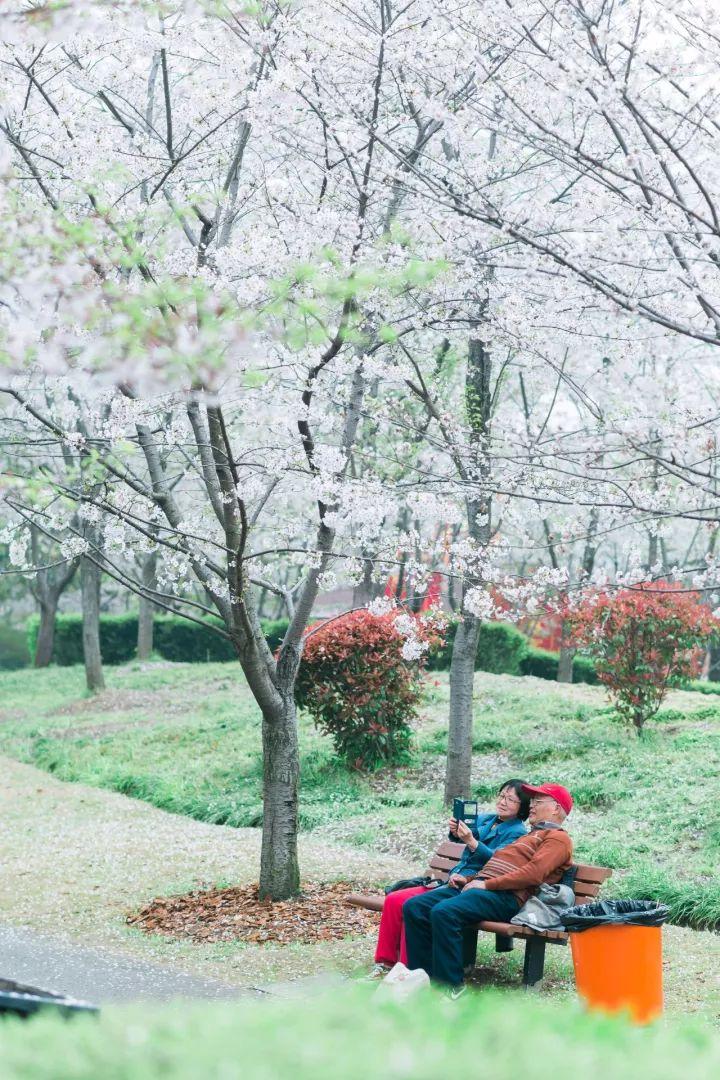 上海魔都区的发展,魔都上海未来几百年的样子