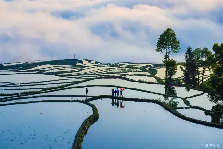 云南冬天的梯田 (云南冬季山坡梯田)