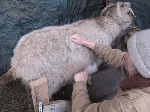 最值得购买的羊绒围巾,高端羊绒围巾正品