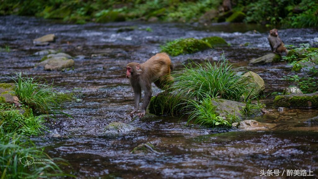 武陵源，秋之颂歌！