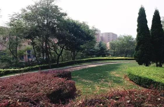 今天正好110岁!很多大连人去过的这个地方竟有国宝