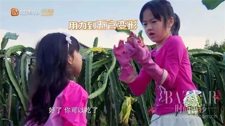 吴尊超级奶爸,宠妻狂魔吴尊