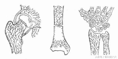 大腿骨折没长好二次植骨手术费用,肱骨骨折二次手术植骨多久能长好