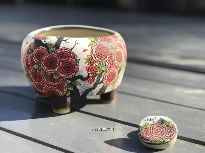 公认最美4种多肉植物图片,2014年上海多肉植物展图片