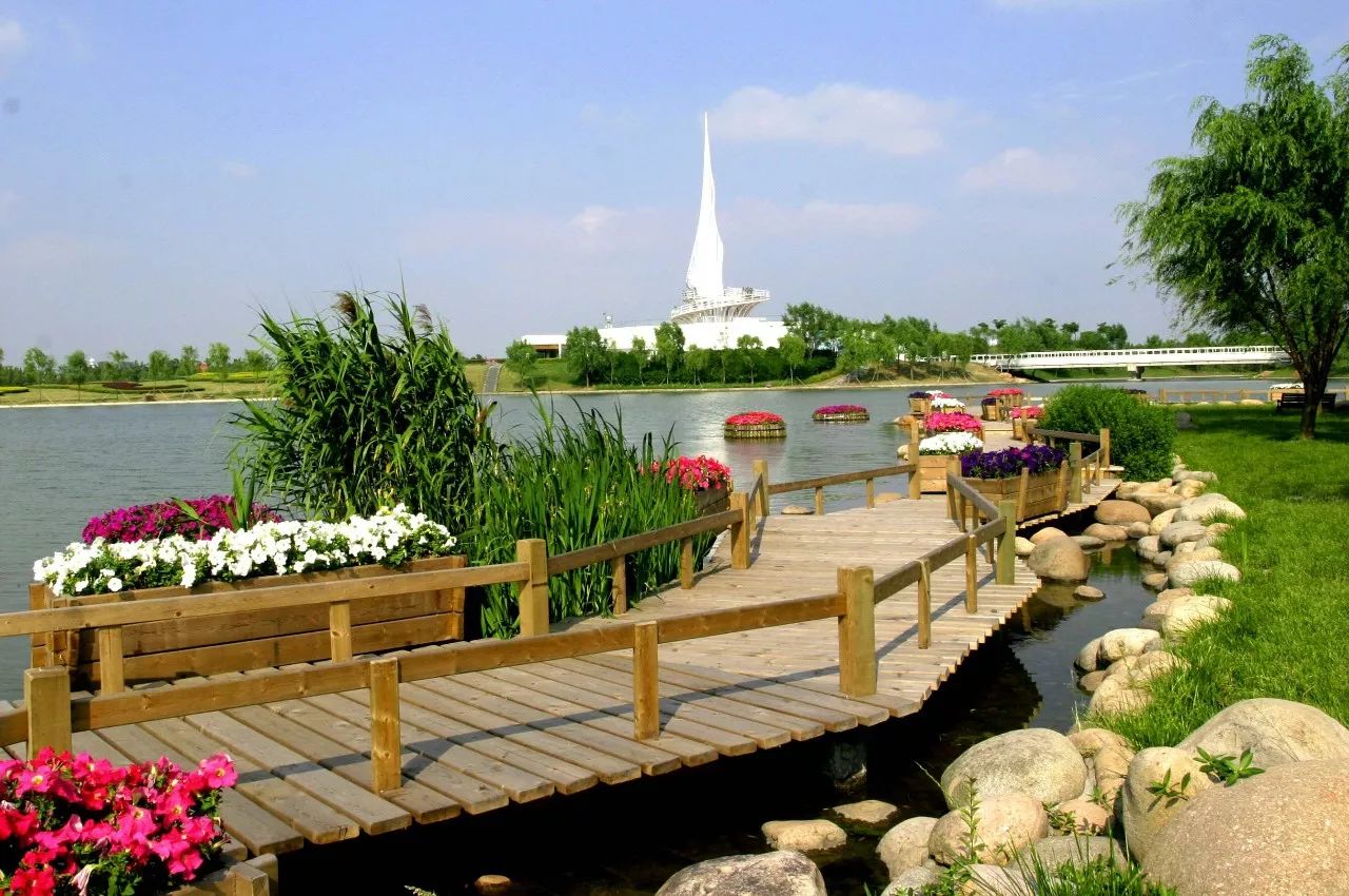 上海松江未来地铁线路图2025超清,上海各区旅游地铁线路图