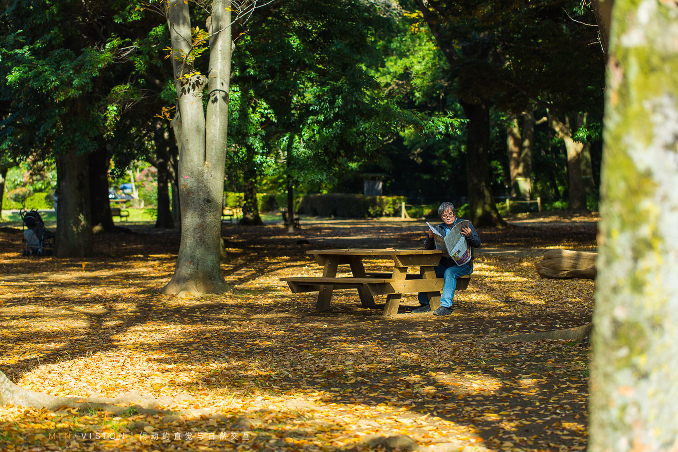 去东京玩用什么攻略,东京攻略东京