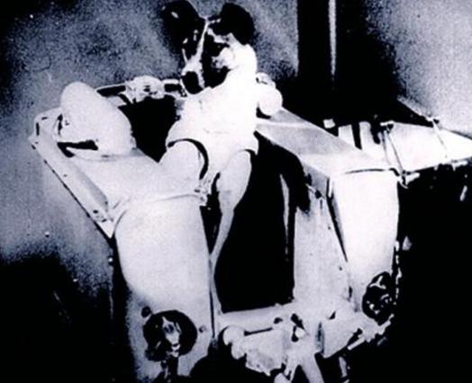 十种曾到过太空的动物,中国有哪些进入太空的动物