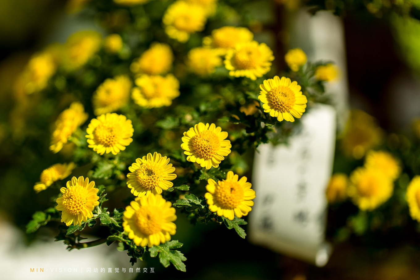 去东京玩用什么攻略,东京攻略东京