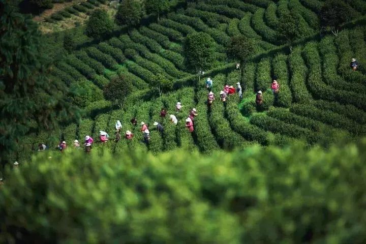 溧阳最美民宿推荐,溧阳绝美民宿