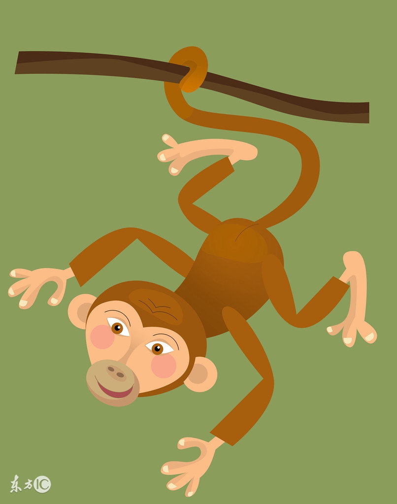 猴年80年出生的人19年运势,猴年出生的人2023年运势及运程