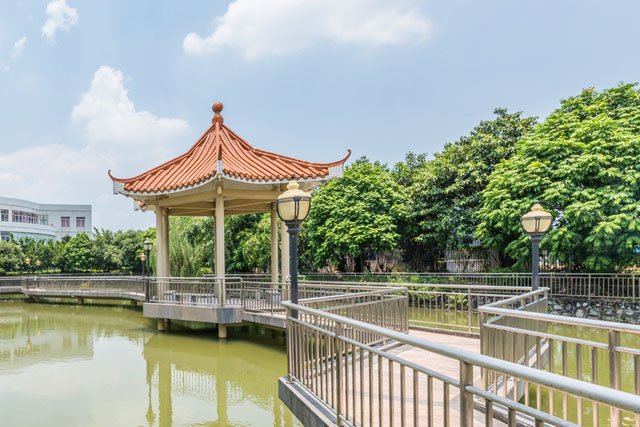 读会计专业到哪里上班,读会计去哪里学