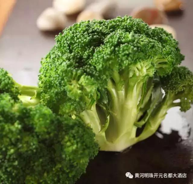 黄河明珠韩城,2019黄河明珠韩城大酒店