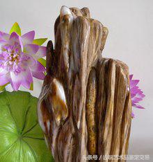 树化玉功效,树化玉的价值