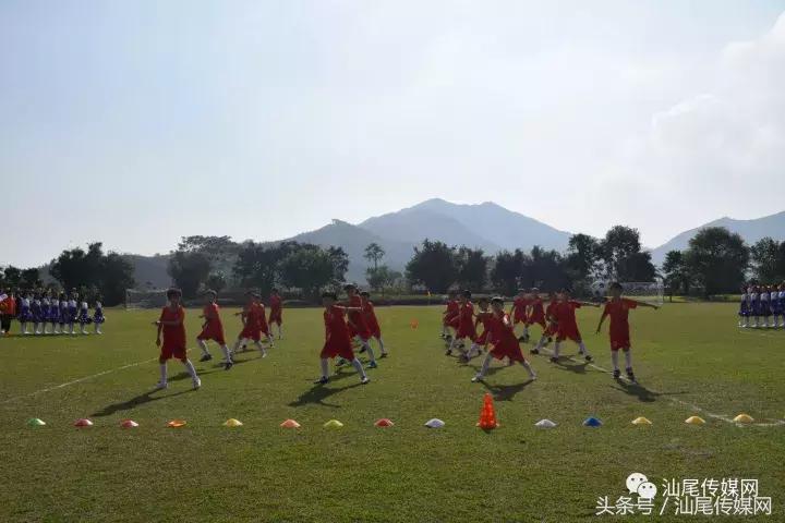 德成中英文学校晚会,德成中英文学校元旦直播回放