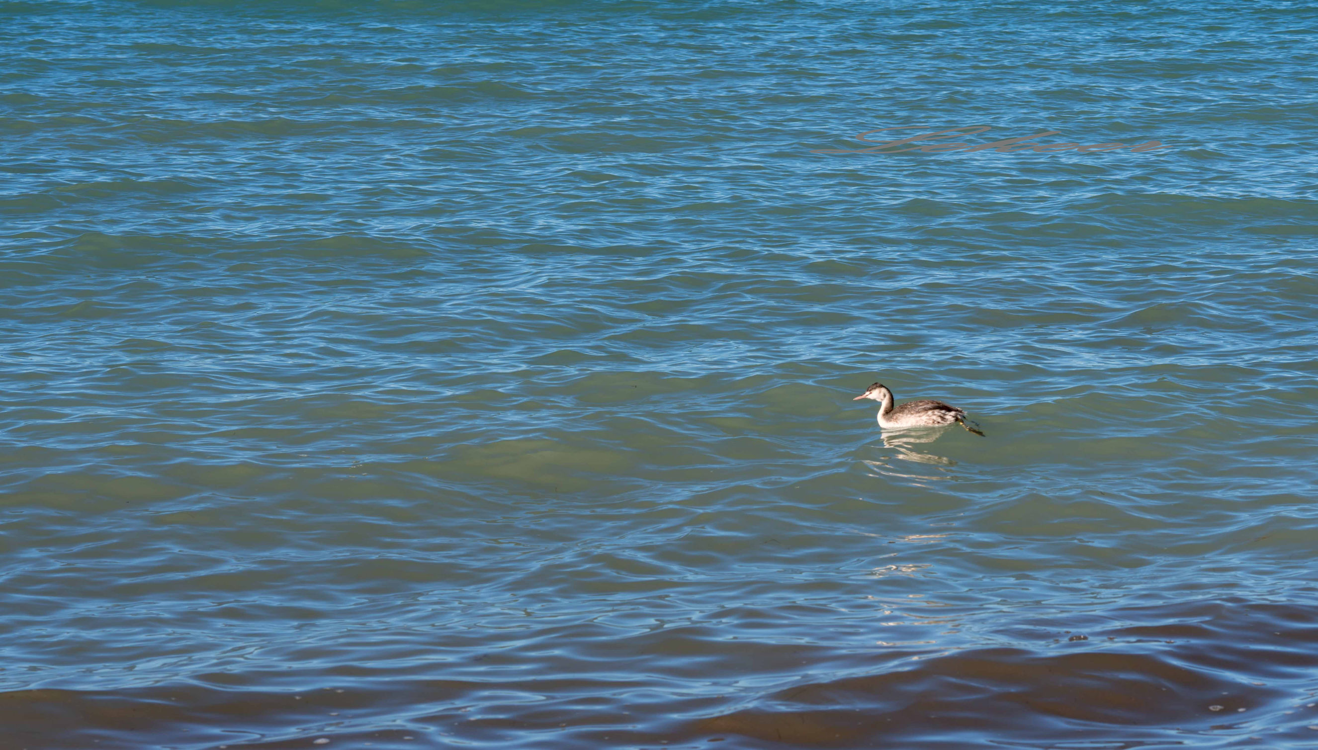 青藏线出西藏自驾攻略,出藏109国道自驾攻略