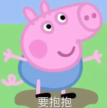 霸占你的小猪表情包,霸占你全部时间的表情包