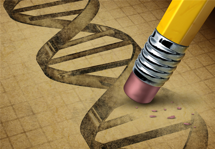 crispr基因治疗,crispr需要测基因序列吗