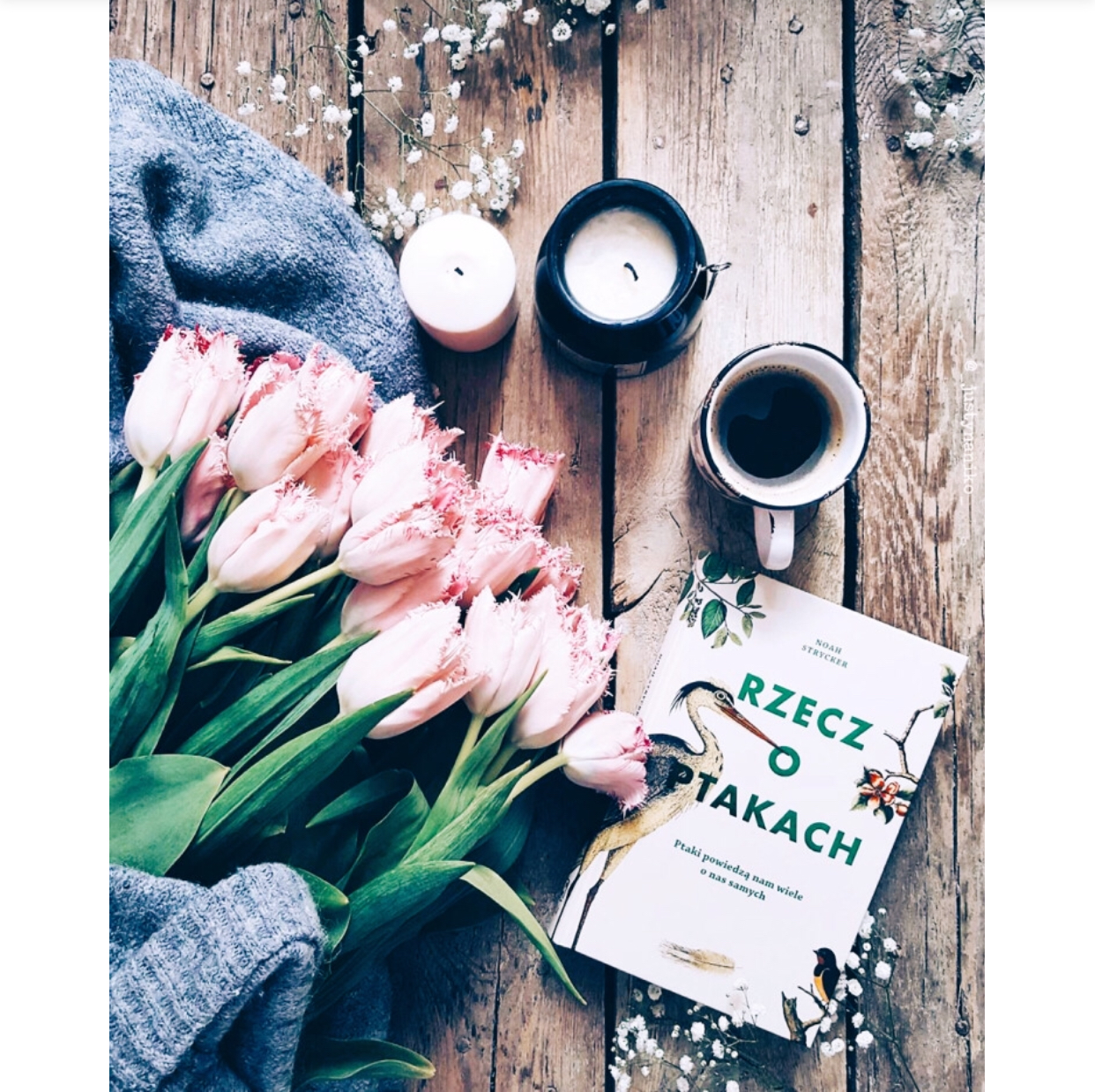 欧美“黑5”，9大海淘网站｜教你买什么？这么买不信你不能省钱！